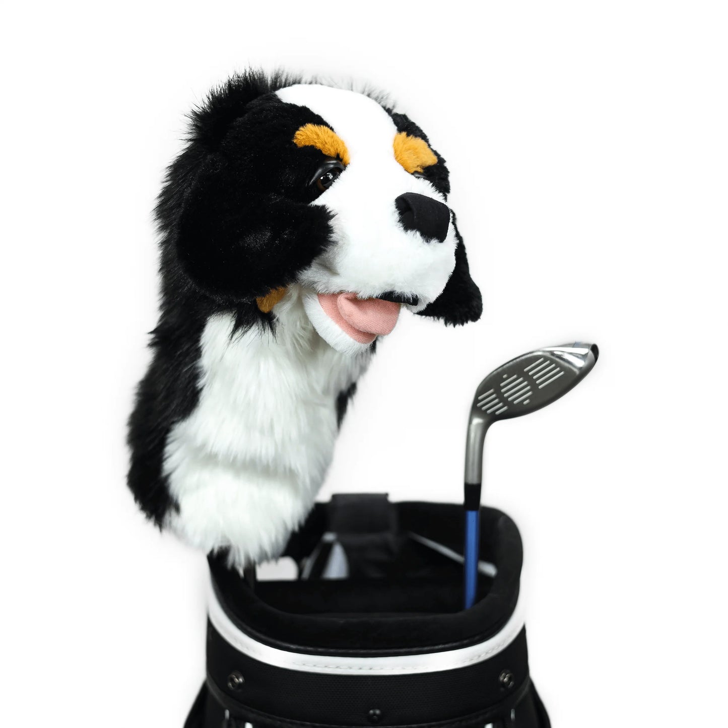 Daphne's Authentic Burnese Mountain Dog Driver Headcover