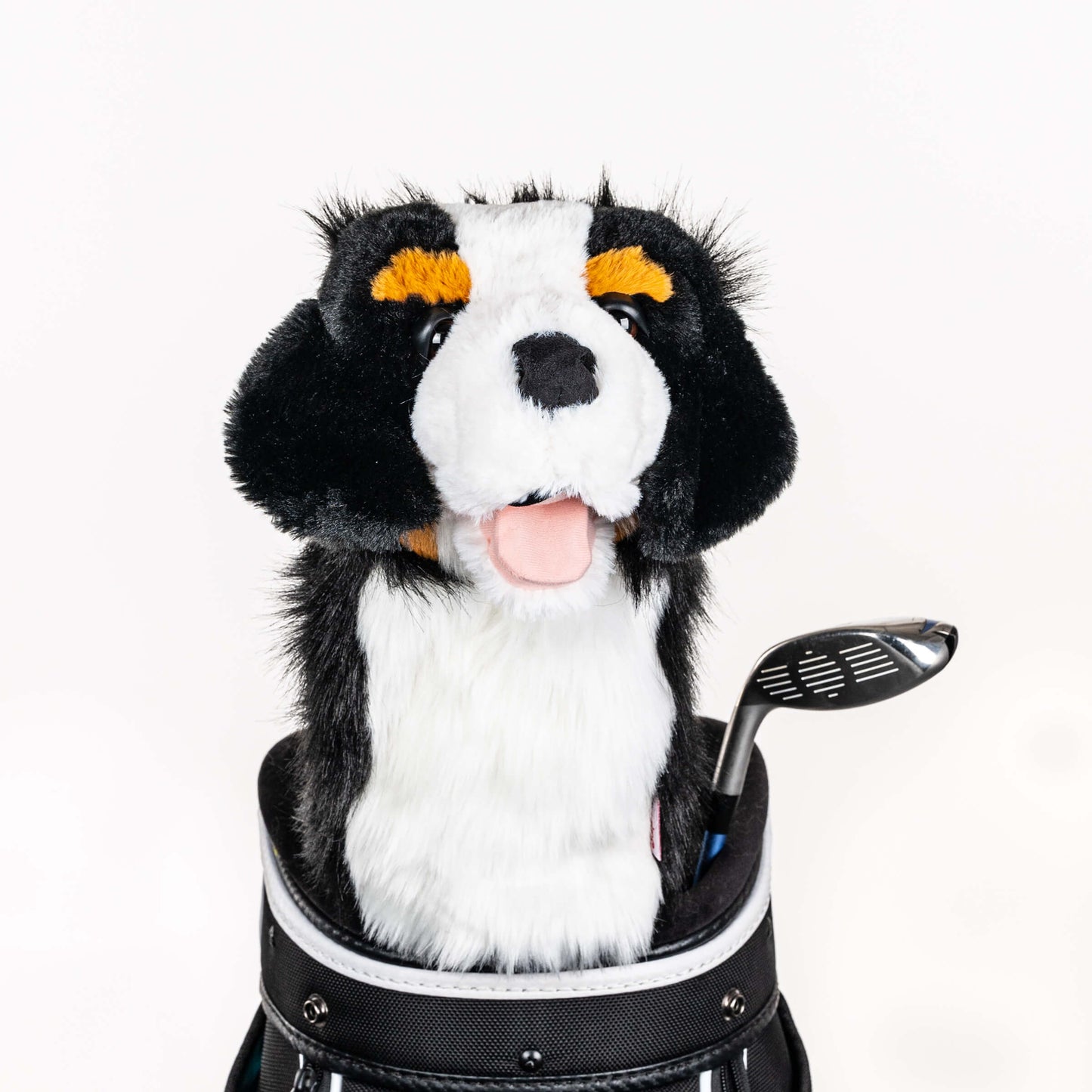 Daphne's Authentic Burnese Mountain Dog Driver Headcover