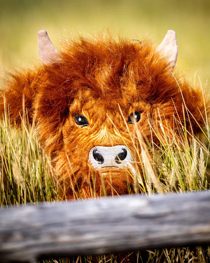 Pins & Aces Authentic Highland Cow Driver Head Cover