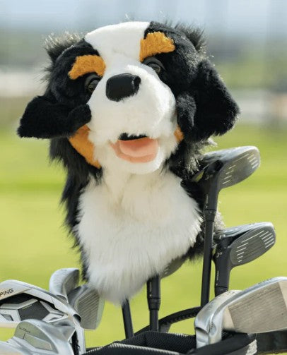 Daphne's Authentic Burnese Mountain Dog Driver Headcover