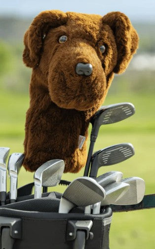 Daphne's Authentic Chocolate Labrador Driver Headcover
